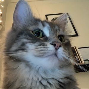 Meet your Posher, Alexandra